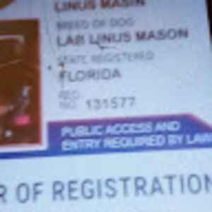 Meet your Posher, Regina